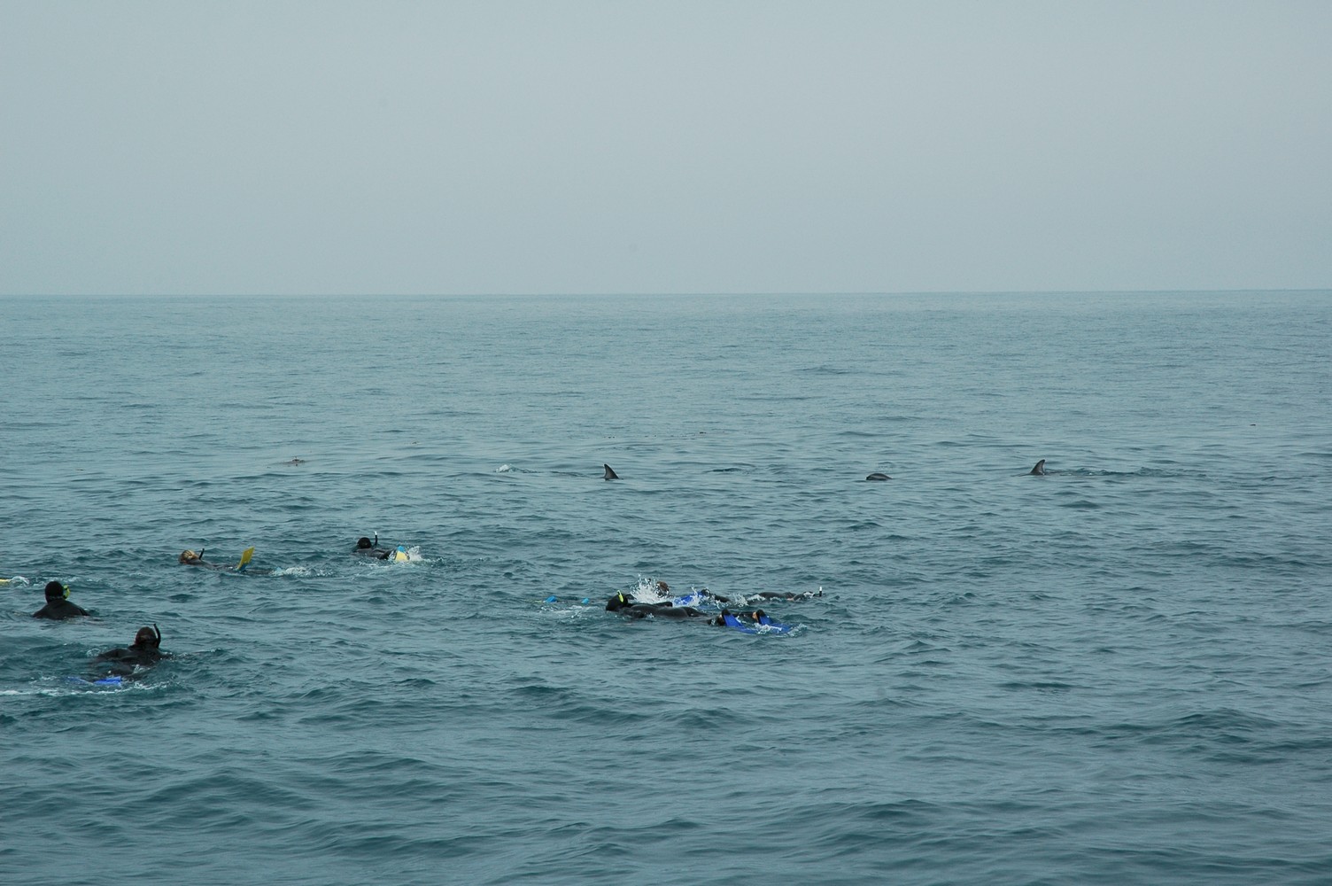 189   30 01   Kaikoura